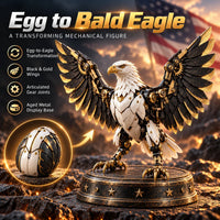 🦅 Egg To Bald Eagle